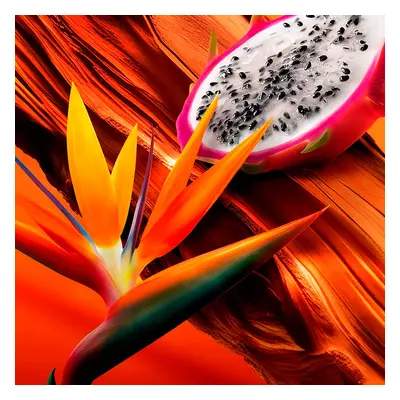 Escada Bali Paradise Eau de Toilette Spray 30 ml Limited Edition