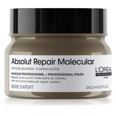 L’Oréal Professionnel Serie Expert Absolut Repair Molecular Tiefenwirksame Haarmaske 250 ml