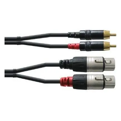 Cordial CFU 3 FC 3 m Professionelles Audiokabel, 2 XLR female 2x Cinchstecker