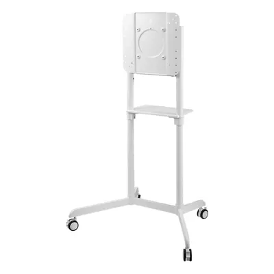 Neomounts NS-M1250WHITE TV-Trolley 37-70 - drehbar, Weiß, Stahl, 70 kg, 94 cm (37), 177,8 cm (70), 300 x 300,350 x 350,400 x 200