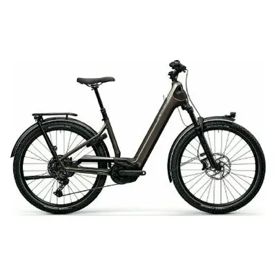 E-Bike Centurion Country R900 L 2026 L_Grau frei Haus