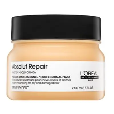 L’Oréal Professionnel Serie Expert Absolut Repair regenerierende Maske mit Tiefenwirkung für trockenes und beschädigtes Haar 250
