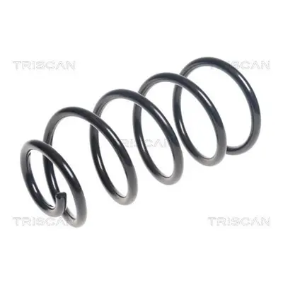 Triscan Feder hinten Opel Adam