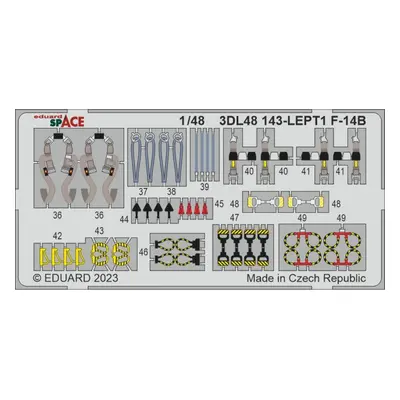 F-14B - Space [Great Wall Hobby]