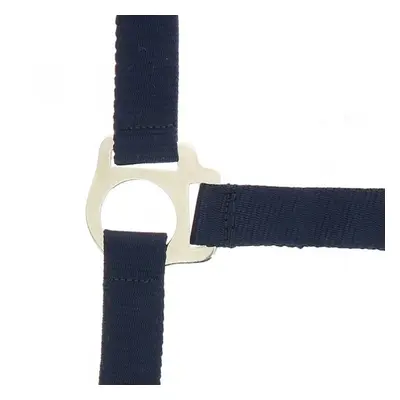 Halfter Riding World Club