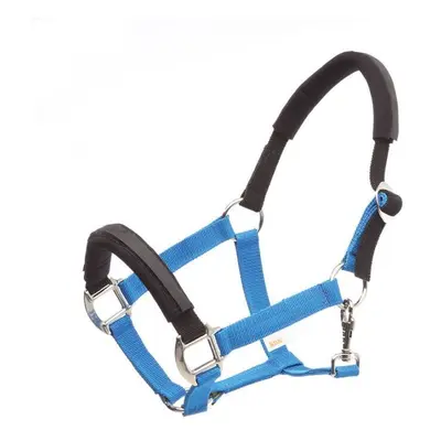 Sicherheitshalfter für Pferde Kavalkade KavalLastic