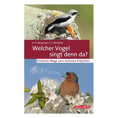 Welcher Vogel singt denn da?