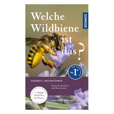 Welche Wildbiene ist das?