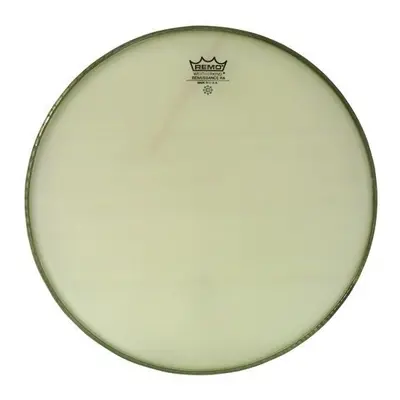 Remo 12" Renaissance Tomfell