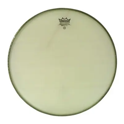 Remo 10" Renaissance Ambassador Tomfell