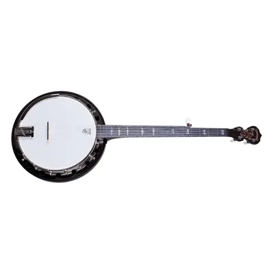 Deering Artisan Goodtime Special Banjo