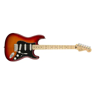 Fender Player Stratocaster Plus Top MN ACB (ausgepackt)