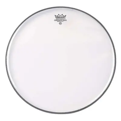 Remo 10" Ambassador Hazy