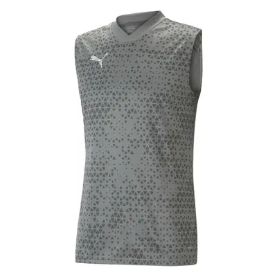 Puma TEAMCUP TRAINING JERSEY SL Herren Fußballshirt, grau, größe