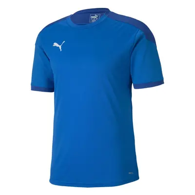 Puma TEAM FINAL TRAINING JERSEY Herrenshirt, blau, größe