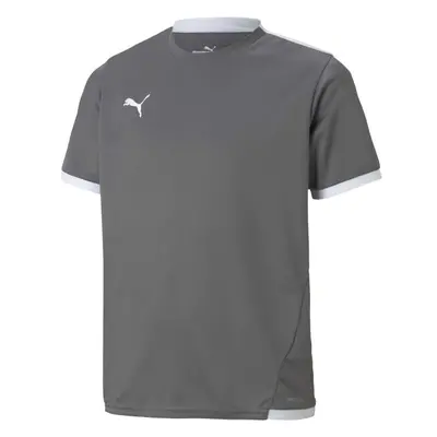 Puma TEAM LIGA JERSEY JR Fußballtrikot für Jungs, grau, größe