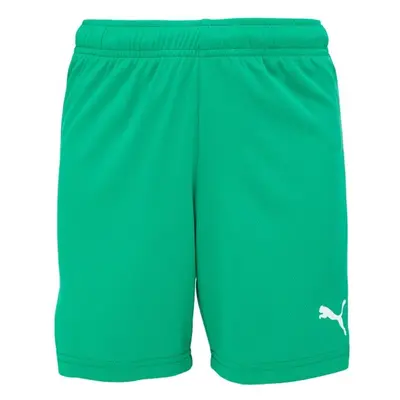 Puma TEAMRISE SHORT JR Fußballshorts für Jungs, grün, größe