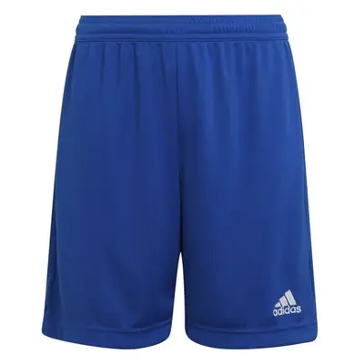 adidas ENT22 SHO Y Fußballshorts für Jungs, blau, größe