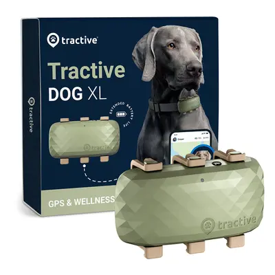 Tractive Dog - GPS-Tracker und Aktivitätstracker für Hunde grün