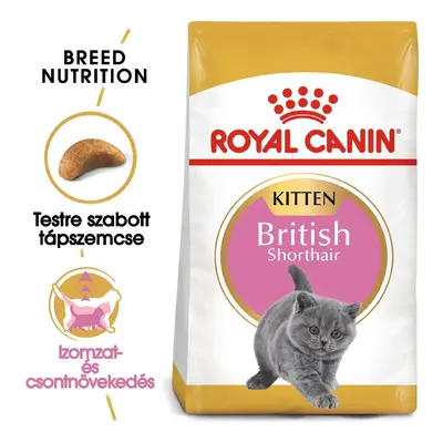 Royal Canin British Shorthair Kitten - Trockenfutter für British Shorthair-Welpen kg