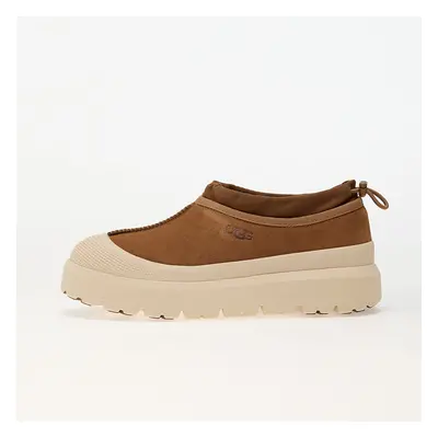 Sneakers UGG Tasman Weather Hybrid Chestnut/ Whitecap EUR