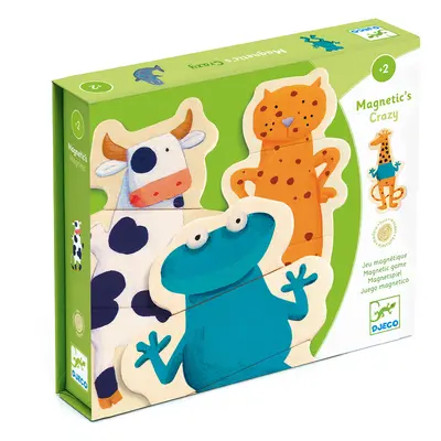 Magnetspiel Crazy (24 Teile)