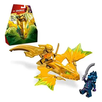 LEGO® NINJAGO® Arins Drachengleiter