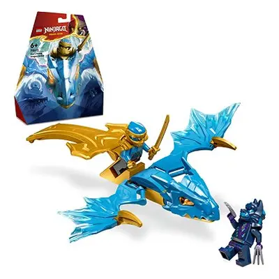 LEGO® NINJAGO® Nyas Drachengleiter