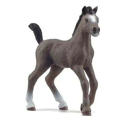 Schleich Horse Club - Cheval de Selle Francais Fohlen