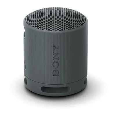 Sony SRS-XB100 schwarz