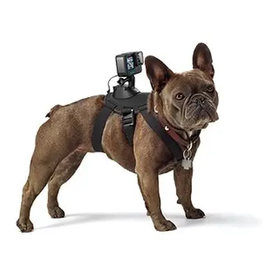 GoPro Hundegeschirr (Fetch)