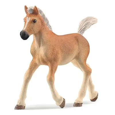 schleich® Horse Club - Haflinger Fohlen