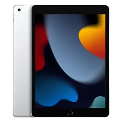 iPad 10.2 GB WiFi Cellular Silber