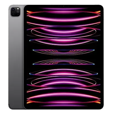 iPad Pro 12,9" TB Cellular M2 Space Grau