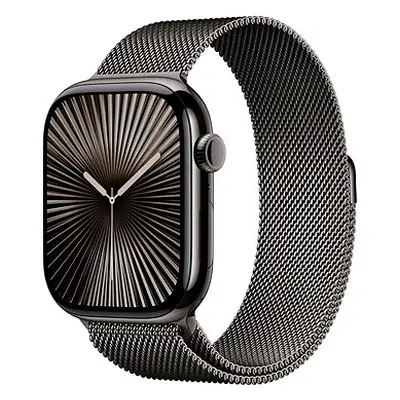 Apple Watch Series 42mm Cellular Titan Schiefer mit Milanaise Armband Schiefer