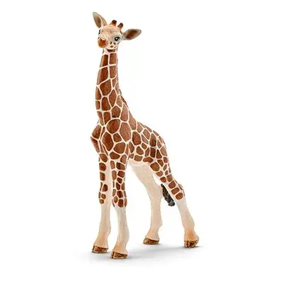 Schleich Babygiraffe