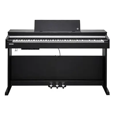 KURZWEIL CUP M1 SR