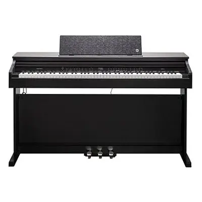KURZWEIL CUP E1 SR