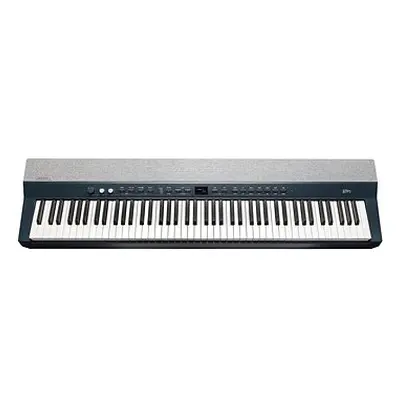 KURZWEIL KA P1 LB