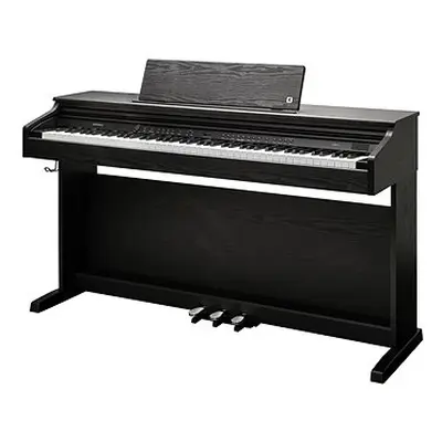KURZWEIL CUP E1 BK