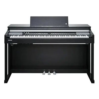 KURZWEIL CUP P1 SR