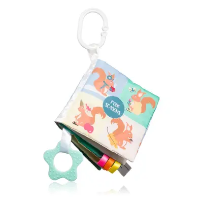 BabyOno Have Fun Sensory Book kontrastierendes Lehrbuch mit Beißring Seasons