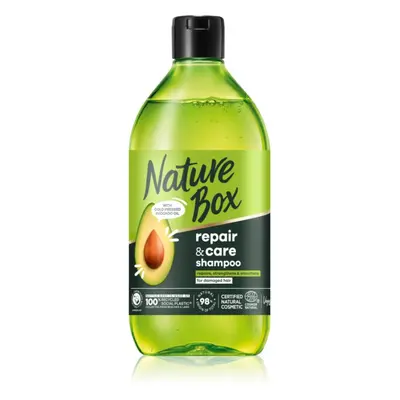 Nature Box Avocado tiefenwirksames regenerierendes Shampoo für trockene Haarspitzen