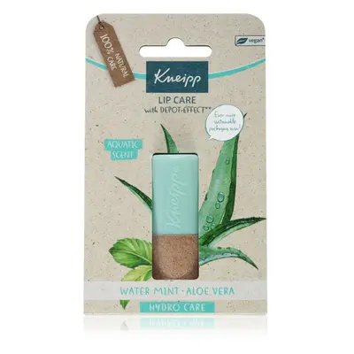 Kneipp Aloe Vera Lippenbalsam 4.7 g