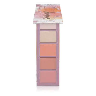 essence Peachy Blossom Rouge- und Highlighter-Palette