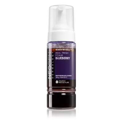 Neogen Dermalogy Real Fresh Blueberry hydratisierender Reinigungsschaum