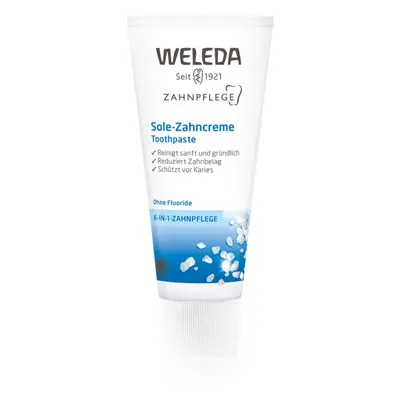 Weleda Dental Care Zahnpasta mit Meersalz