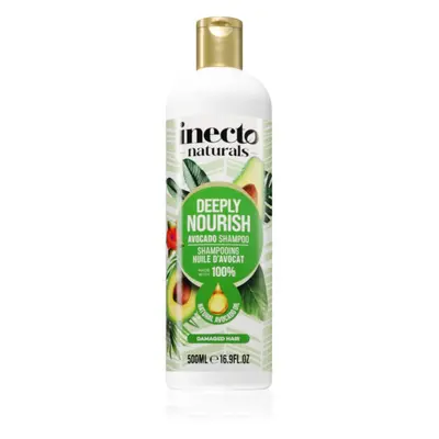 Inecto Avocado Shampoo mit ernährender Wirkung für das Haar