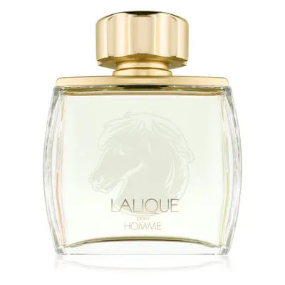 Lalique Pour Homme Equus Eau de Parfum für Herren