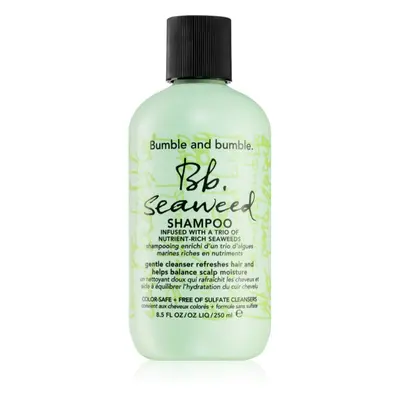 Bumble and bumble Seaweed Shampoo Shampoo für welliges Haar mit Auszügen aus Meeresalgen